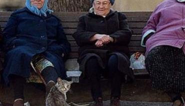 С Нового года в РБ пенсию начали исчислять из заработка за 30 лет стажа